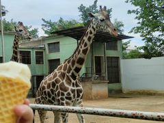 -昆明动物园
