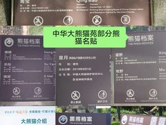 -都江堰中华大熊猫苑