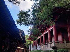 -绳金塔
