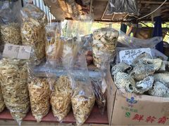 iphone_upload_pic-海鸥岛