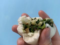 大菜包-白玉兰食品(甜云店)