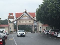 -大湾区中央湿地公园-十九涌