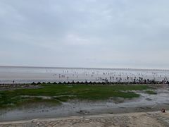 -南汇新城海滩