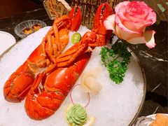 小青龙-半岛翡丽海鲜自助餐厅(观风亭店)