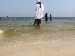-碧海金沙