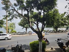 -野菌皇海景野生菌火锅(滨海大道店)