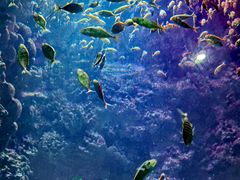 -海合安青岛极地海洋公园
