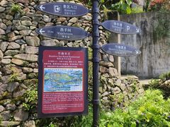-宁波浙东大竹海景区