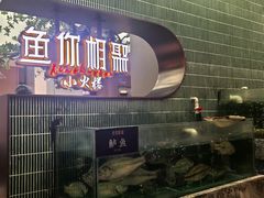 -鱼你相聚·河鲜馆(袁家岭店)