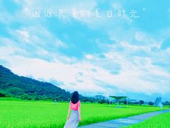 -艾米稻香小镇