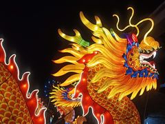 -淄博花灯齐彩城