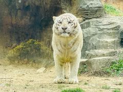 -杭州野生动物世界