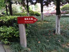 -神仙树公园