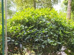 -海兰云天度假区温泉