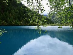 -终南山国家森林公园