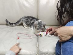 -lincat·猫舍(广州店)
