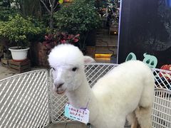 -胡桃里音乐酒馆(曲江店)