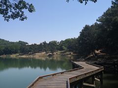 -南京市无想山景区