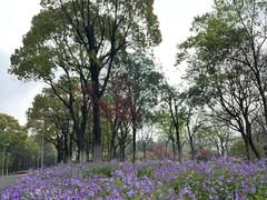 -白塘生态植物园
