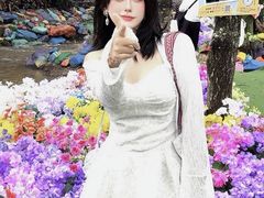 -洛阳白云山景区