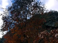 -叠溪松坪沟景区