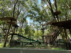 -WeLope紫金山探险公园