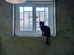 -小时光咖啡馆(北锣鼓巷店)
