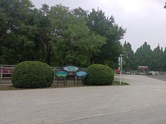 -武清南湖绿博园