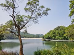 -广州市白云山风景名胜区