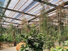 -呀路古热带植物园