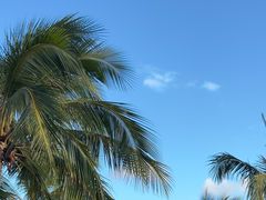 -日落吧·海景咖啡厅·餐酒吧·鸡尾酒·下午茶·乐队表演·浪漫夕阳·三亚文华东方酒店