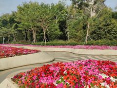 -深圳国际园林花卉博览园
