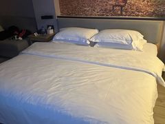 -如家旗下-成都蜀汉东路一品天下地铁站睿柏·云酒店