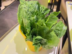 -润园四季椰子鸡火锅(卓越INTOWN店)