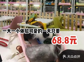 一大一小体验可爱的一天只要68.8元