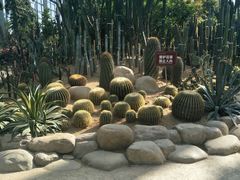 -祥源·阜阳生态乐园