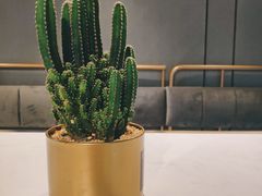 -ADO KAFE(大学城店)