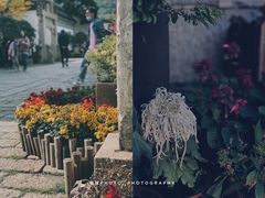 -惠山古镇·寄畅园