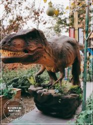 -萌宠亲子动物乐园(槐房万达店)