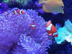 -多彩贵州城极地海洋世界