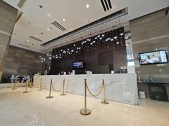 -长沙小天鹅戴斯酒店