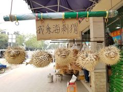 -南沙十九涌渔人码头-南门