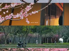-龙华寺
