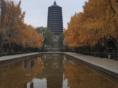 -玲珑塔公园