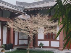 -拜将坛