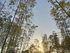 -雅达·阳羡溪山小镇中心