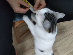 -1013 PET SHOP 宠物商店(近铁城市广场店)
