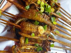 鳝鱼-晓靖轩烧烤(沙河风情店)