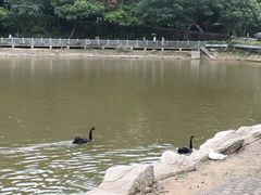 -广州市帽峰山景区