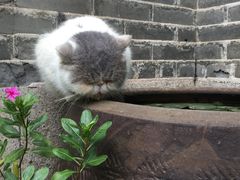 -老屋咖啡